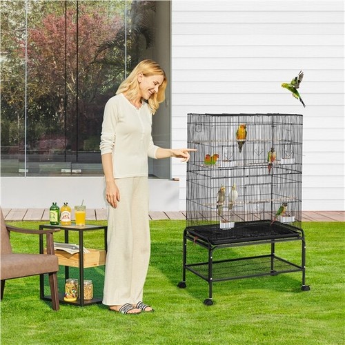 Large bird cage parrot - large,