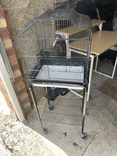 Large metal bird cage - bird,