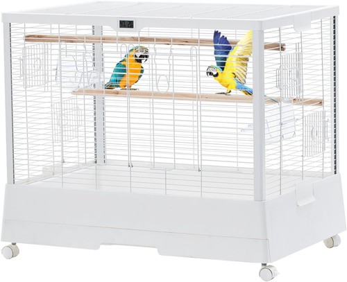 Large bird cages - bird, cage
