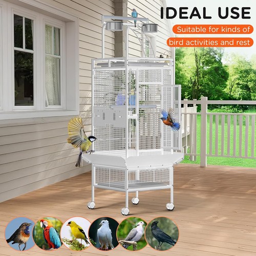 Large bird cage budgie - large,