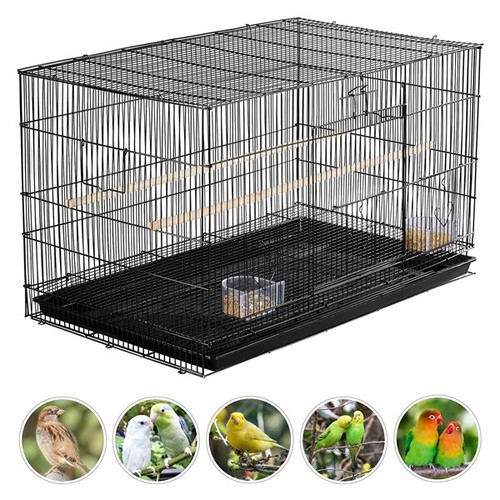 Large wide bird flight - large,