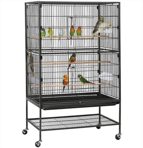 132cm large parrot - large, bird