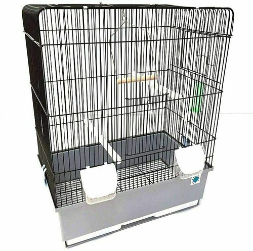 Crystal budgie canary bird - crystal,