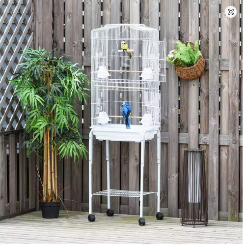 Extra large bird for budgie - large,