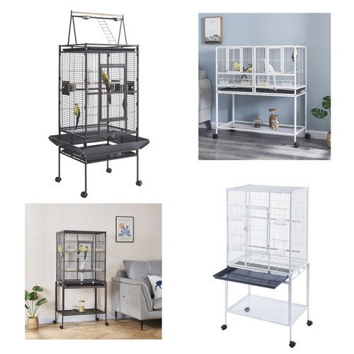 Large bird cages parrot - bird,